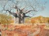 "Baobab Tree"