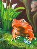"Memories of the Madagascan Tomato Frog"