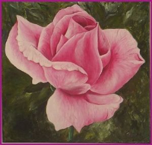 "Pink Rose"
