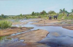 "Elephants on Lower Sabie River. KNP"