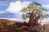 "Baobab on Kubu Island, Makgadi gadi Pans, Botswa"