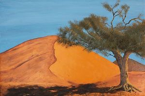 "Desert Shadow"