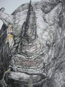 "Tinted, Grazing Rhinoceros, with Red-Billed Oxpeckers"