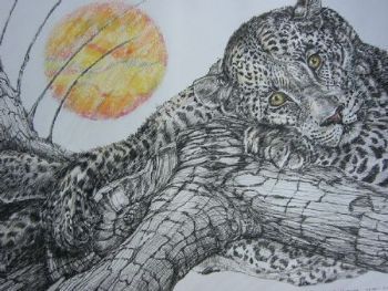 "Leopard – Awake at Sunset"