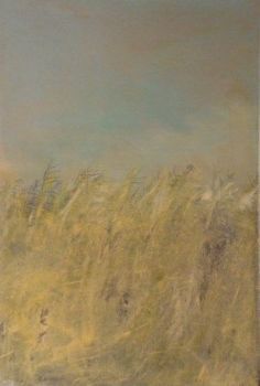 "Kalahari Love Grass"