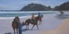 "Early Morning Ride on Noordhoek Beach"