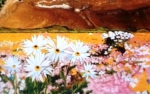 "Namaqualand"