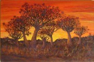 "Quiver Trees Namibia"