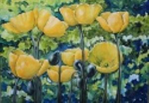 "Yellow Poppies"