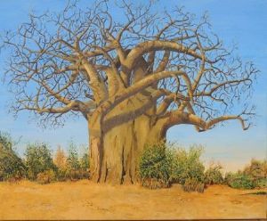 "Baobab Tree "