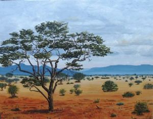 "Bushveld"