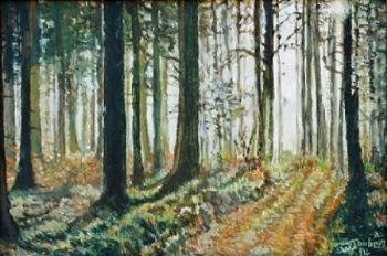 "Lost in the Forest"