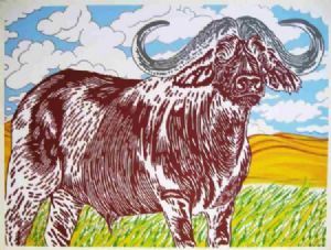 "African Buffalo"