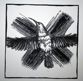 "Noughts and Crosses: Sunbird"
