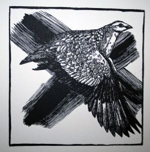 "Noughts and Crosses: Sand Grouse"