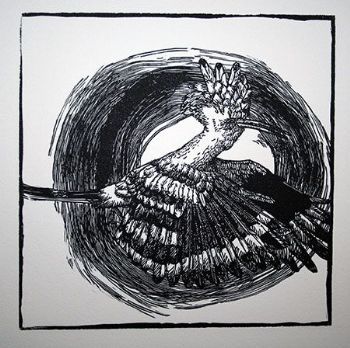 "Noughts and Crosses: Hoopoe"