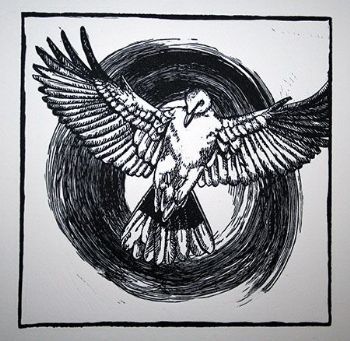 "Noughts and Crosses: Dove"