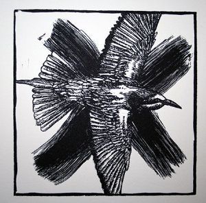 "Noughts and Crosses: Bee-eater"