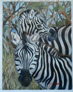 "Zebras - Curiosity"