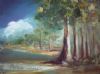 "Blue Gum Trees 590"