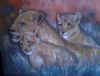 "Lion Cubs"