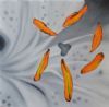 "Pieces of Color - Flower"