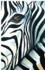 "Zebra Face"