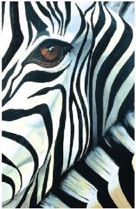 "Zebra Face"