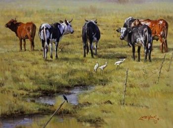 "Little Herd - Ngunis"