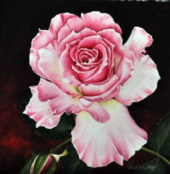 "Rose of Elegance 2"