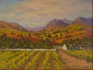 "Cape Vineyards 1"