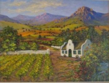 "Cape Vineyards 2"