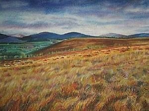 "Complementary Nature"