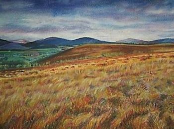 "Complementary Nature"