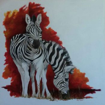 "Grazing Zebras"