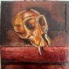 "Juvenile Baboon Skull 27"