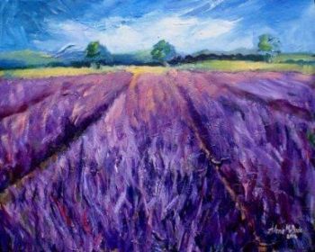 "Fields of Lavender"