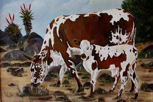 "Nguni Cow & Calf"
