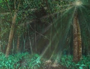 "Forest Light"