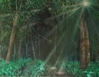 "Forest Light"