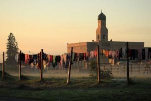 "Washing Line"