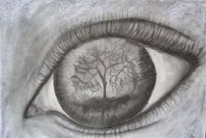 eye reflection art