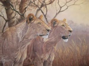 "Lions in Morning Light "