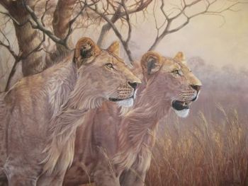 "Lions in Morning Light "