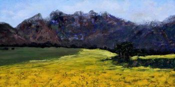 "Landscape With Canola"