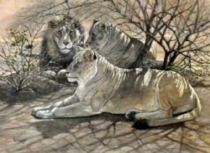 "In the Shade"