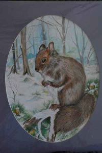 "Woodland Squirrel in Winter"