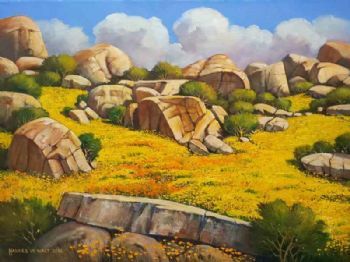 "Namaqualand Where Giants Sleep"