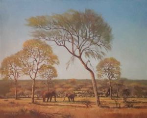 "Bushveld Scene with African Elephant"