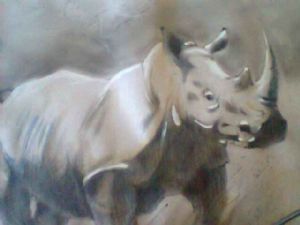 "Male Rhino"